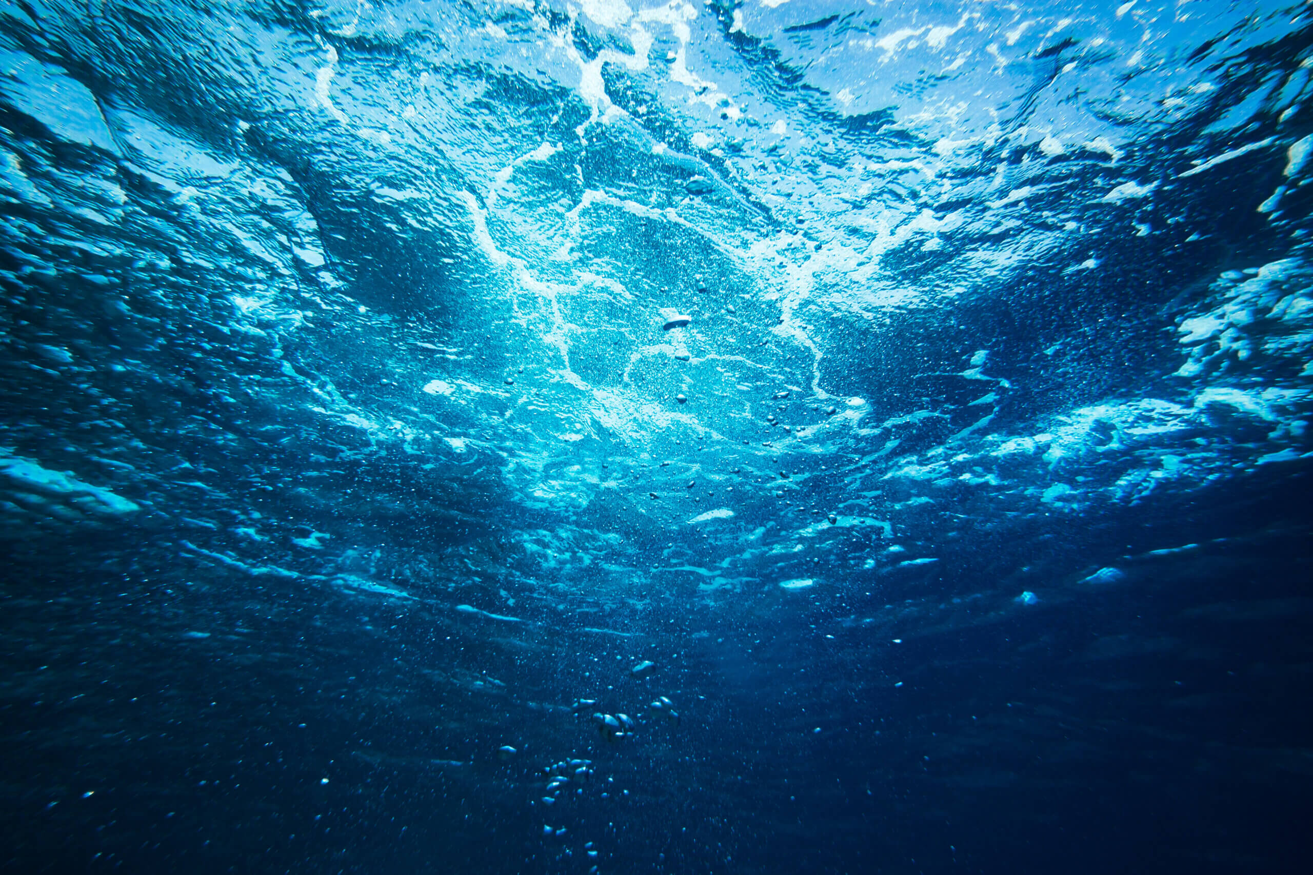 Underwater view of bubbles rising to the surface of the ocean