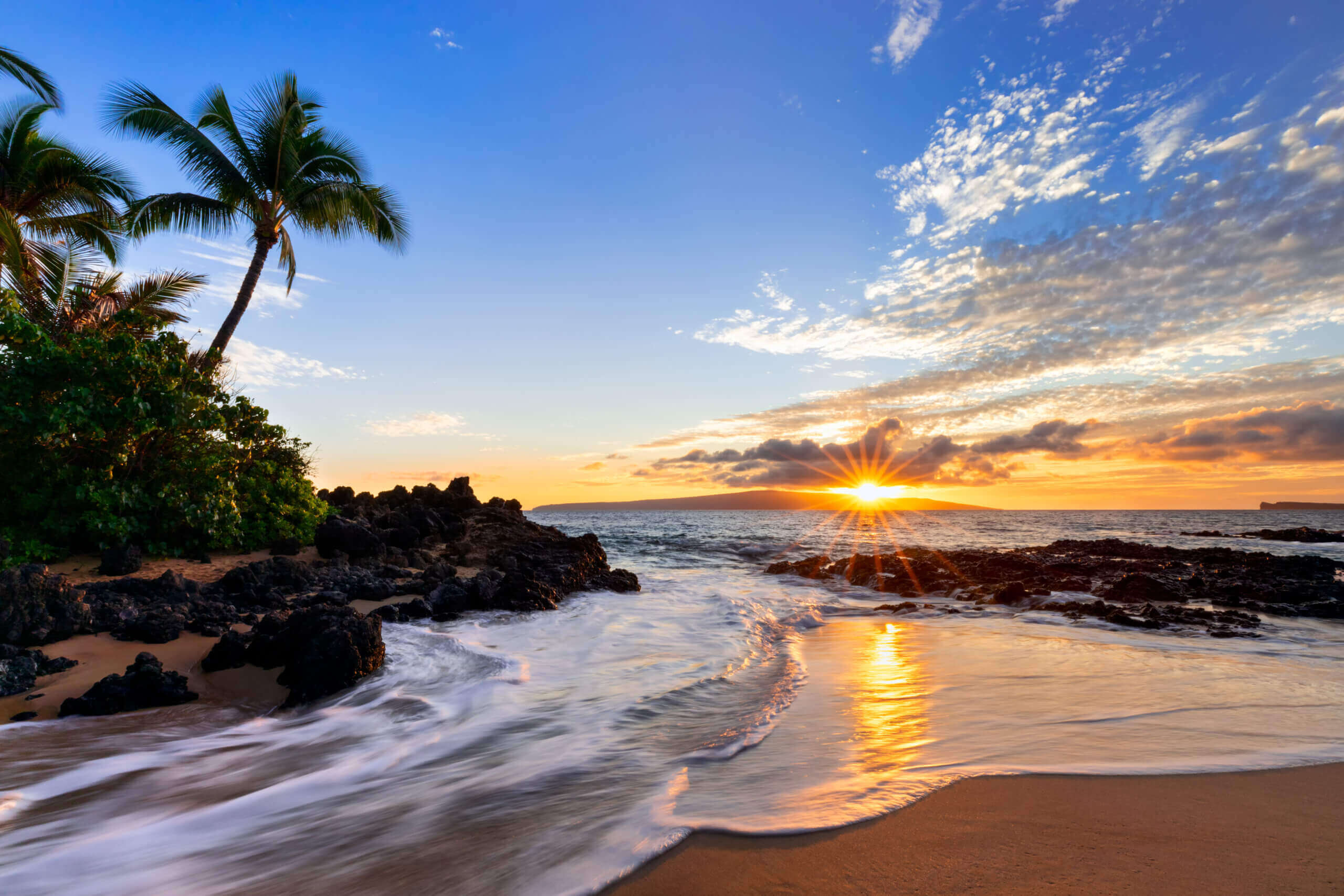 Palm trees and the beach in Hawaii at sunset